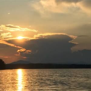 Meet your Posher, Anne